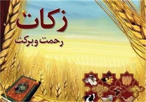 شفاف سازی در جمع آوری زکات جلب اعتماد جامعه را در پی خواهد داشت