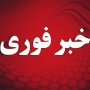 ماجرای گردش 3 روزه هلی کوپتر برفراز سریش آباد چیست؟/از گم شدن 2 قلاده شیر تا سم پاشی