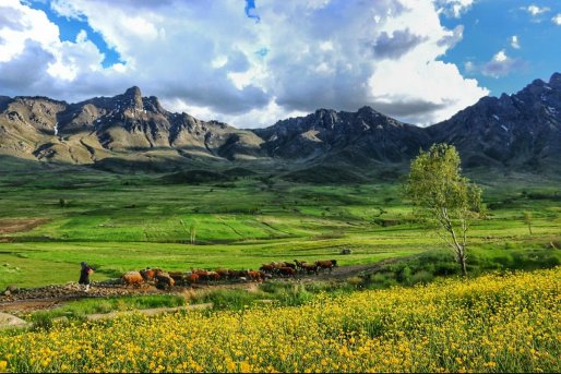 طبیعت بهاری شهرستان قروه / روستاهایی که در انتظار گردشگران هستند + تصاویر