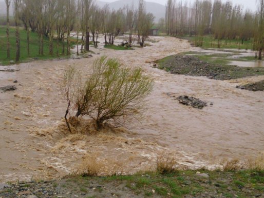 بارش باران حوضچه های روستایی شهرستان قروه را سیراب نمود + تصاویر