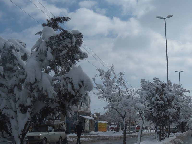 بارش 20 سانتی متری برف در شهرستان قروه + تصاویر